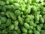 Motueka Leaf 100g Leaf Hops AA 7.00% 2023 Harvest